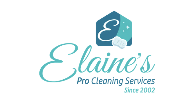 Case Study: Website Development, Advertising for Elaine Pro Cleaning