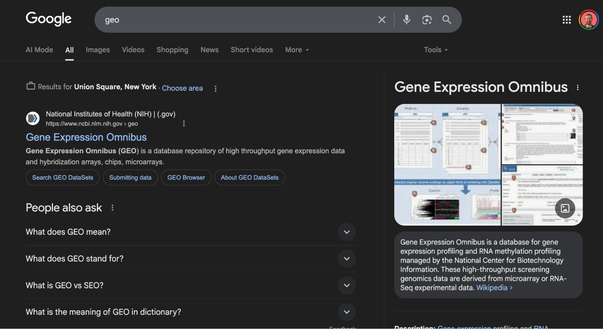 Do me a favor. Google GEO right now. Or don’t, and just blindly trust this screenshot of me doing it.